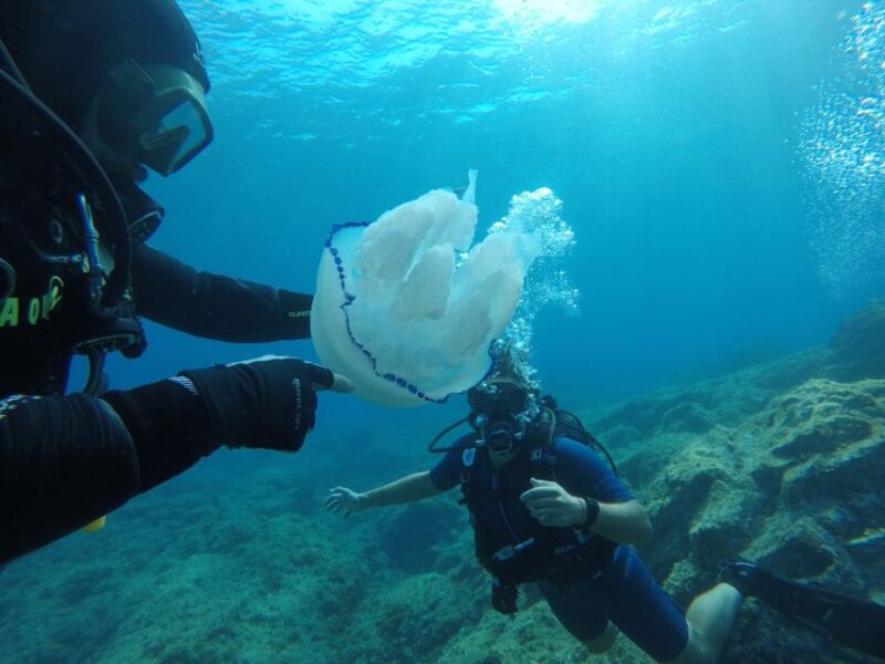 Catania: Mount Etna & Cyclopean Scuba Diving Experience - Customer Feedback