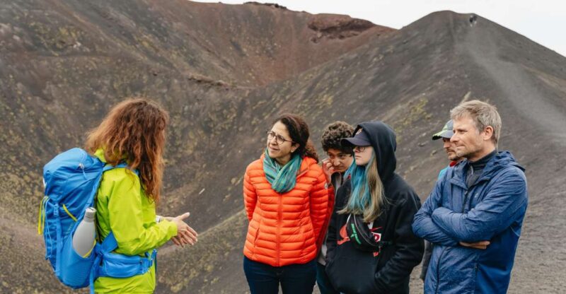 Catania: Mount Etna Morning or Sunset Day Trip With Tasting - Group Size and Guide Information