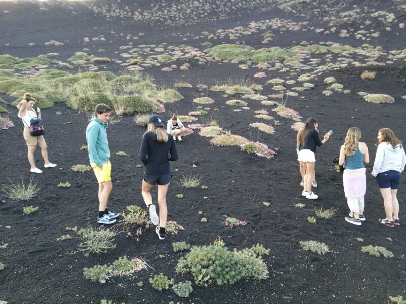 Catania: Mount Etna Tour With Cruise - Whats Included