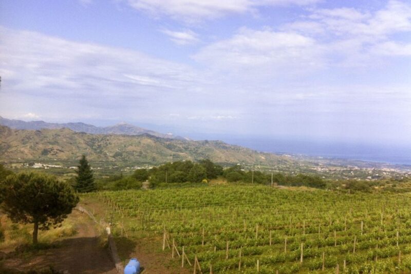 Catania: Mt. Etna Private Tour With Food and Wine Tasting - Transportation and Services