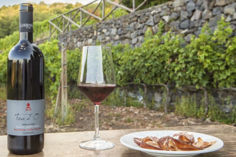 Catania: Mt. Etna Private Tour With Food and Wine Tasting - Customer Experience