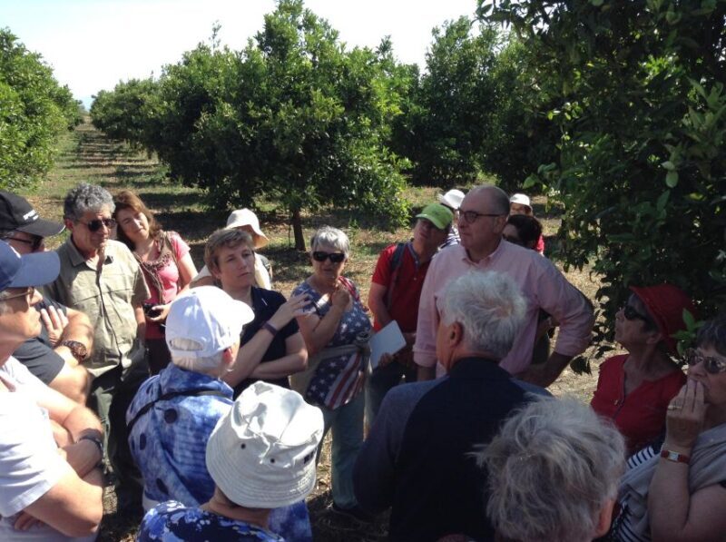 Catania: Pozzo Di Gaspare Farm Guided Tour With Tastings - The Ancient Restored Building