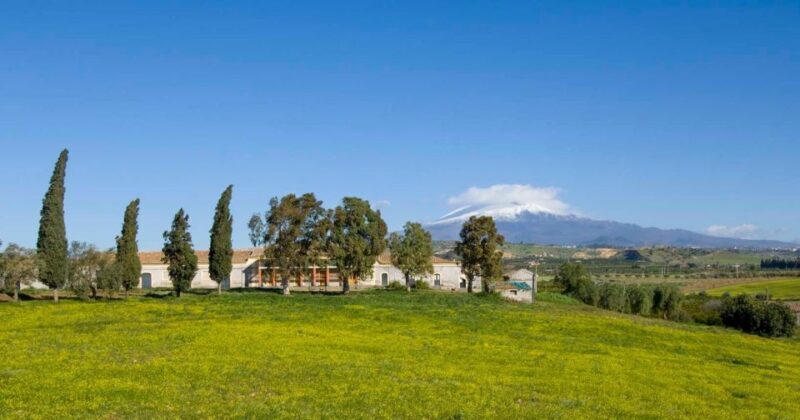 Catania: Pozzo Di Gaspare Farm Guided Tour With Tastings - Tasting Experience: A Culinary Journey