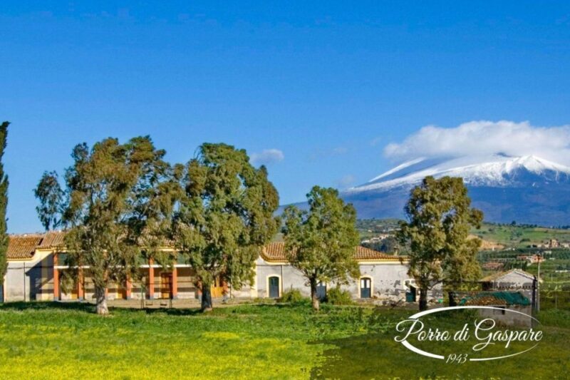 Catania: Pozzo Di Gaspare Farm Guided Tour With Tastings - Visitor Experiences and Reviews