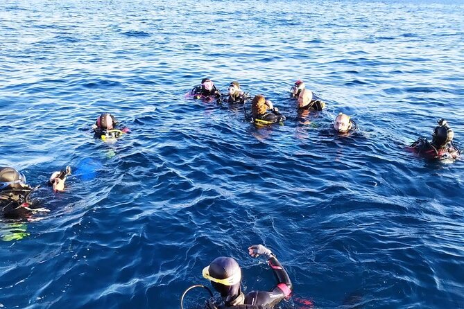 Catania: Scuba Diving Experience - Diving Certification Requirements