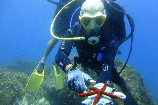 Catania: Scuba Diving Experience - Booking and Inclusions