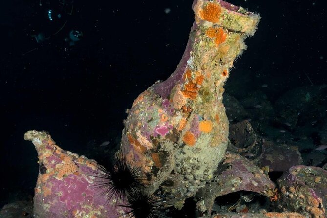 Catania: Scuba Diving Experience - Customer Reviews and Feedback