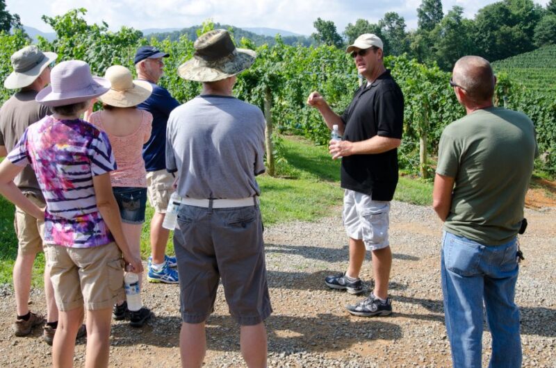 Catania, Taormina, Messina: 3 Etna Wineries Tour & Tasting - Wineries and Wine Tasting Experience