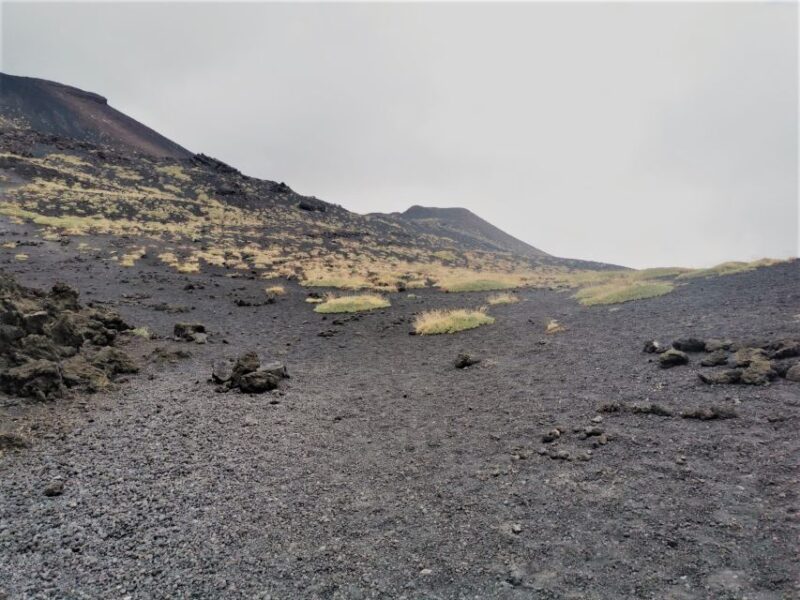 Catania/Taormina: Mount Etna Private Jeep Tour - Inclusions