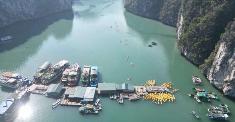 CatBa: 2 Nights 1 Day Lan Ha Bay on Cruise - Key Points