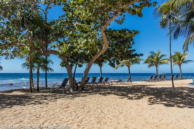 Catch a Ride to West Bay & Back to Port, Hotel, or Airport (Roundtrip Transfer) - Customer Reviews