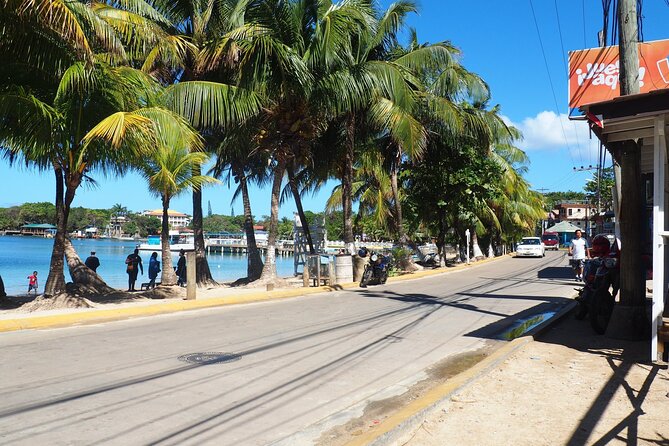 Catch a Ride to West End & Back to Port, Hotel or Airport (Roundtrip Transfer) - Operator Information