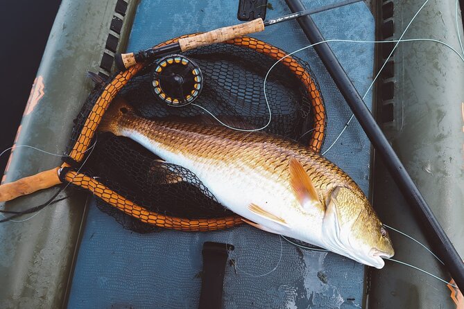 Catch Redfish in the Marsh From a SUP in New Orleans - Stand-Up Paddleboard Experience