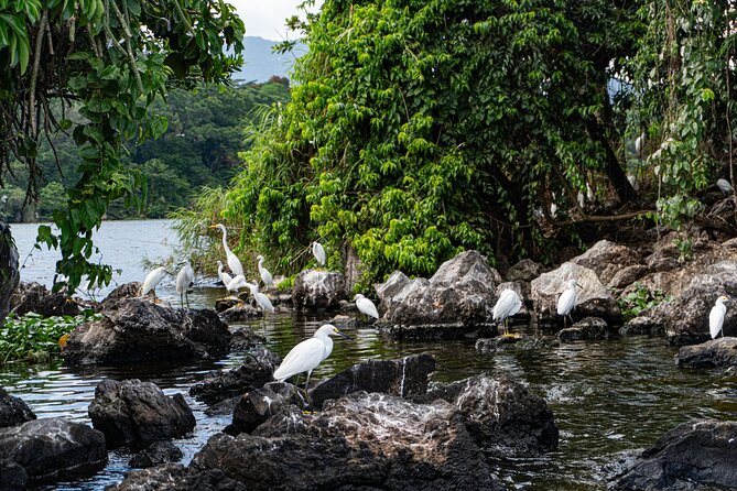 Catemaco And Los Tuxtlas Tour From Veracruz Or Boca Del Rio - Additional Details and Considerations