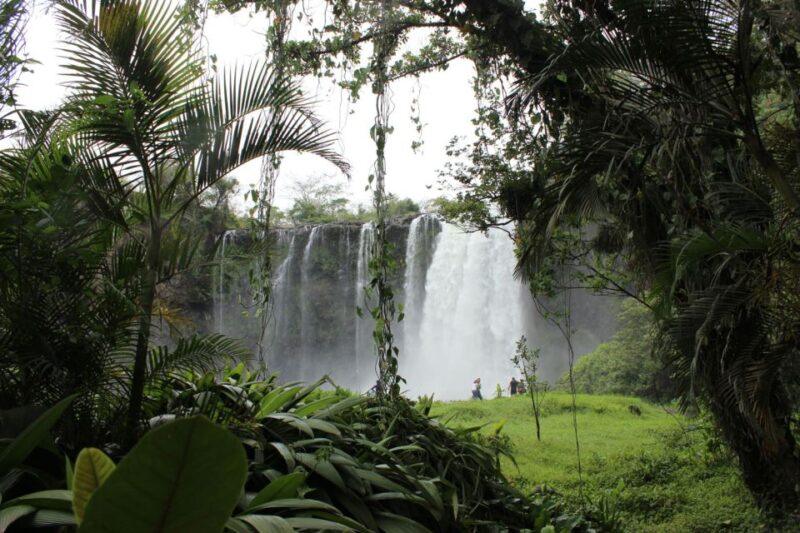 Catemaco & the Tuxtlas Day Trip From Veracruz (Typical Boat) - Itinerary Highlights
