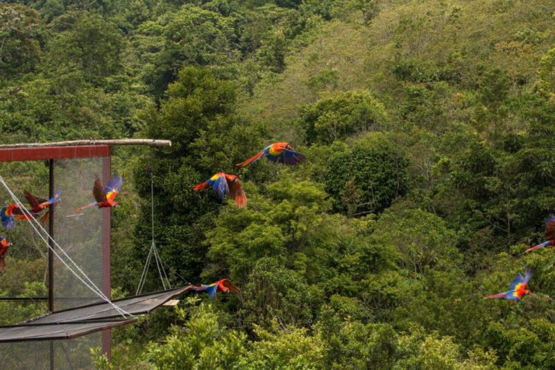 Catemaco & the Tuxtlas Day Trip From Veracruz (Typical Boat) - Salto De Eyipantla Waterfall
