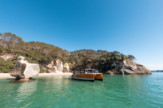 Cathedral Cove Coast and Cave Activity - Inclusions