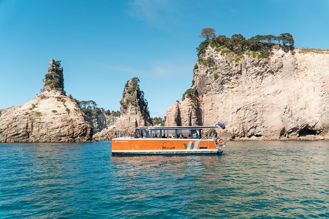 Cathedral Cove Coast and Cave Activity - Accessibility
