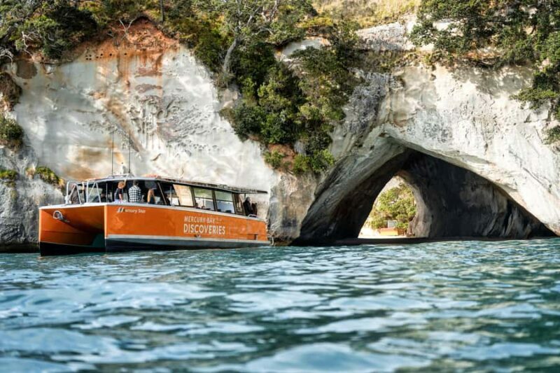Cathedral Cove Coast and Cave Tour - Key Points