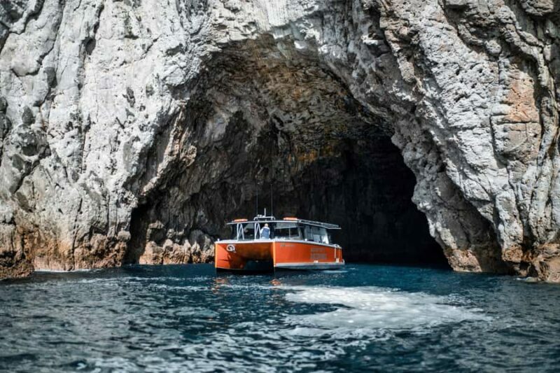 Cathedral Cove Coast and Cave Tour - An In-Depth Look at the Cathedral Cove Coast and Cave Tour
