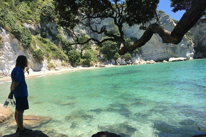 Cathedral Cove Day Trip from Auckland - Why Choose the Cathedral Cove Day Trip?