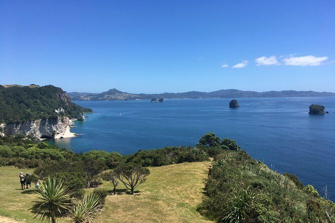 Cathedral Cove Day Trip from Auckland - Authentic Experiences and Traveler Feedback