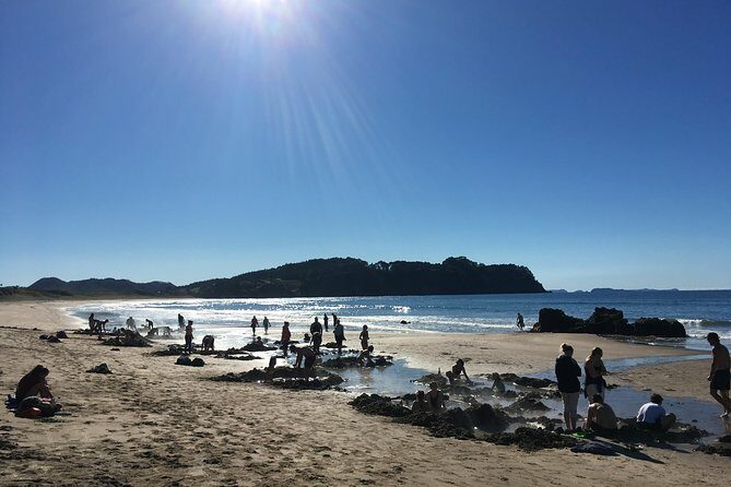 Cathedral Cove Day Trip from Auckland - Who Is This Tour Best For?