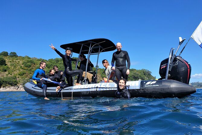 Cathedral Cove Dive & Snorkel- Marine Reserve specialised trips - Key Points