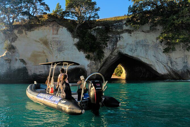 Cathedral Cove Dive & Snorkel- Marine Reserve specialised trips - Who Should Consider This Tour?
