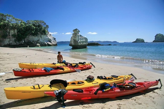 Cathedral Cove Kayak Tour - Tour Experience and Highlights