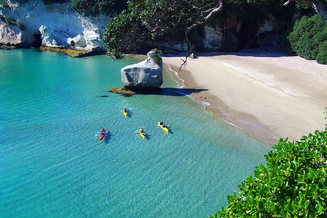 Cathedral Cove Kayak Tour - Additional Information and Recommendations