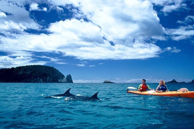 Cathedral Cove Kayak Tour - Personalized Attention and Small Groups