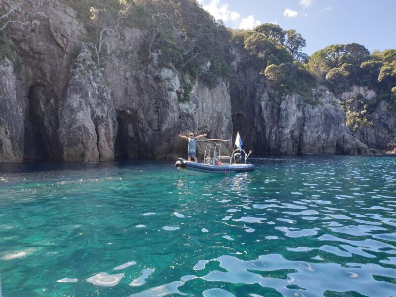 Cathedral Cove Marine Reserve- Specialised Snorkel Boat Trip - Key Points