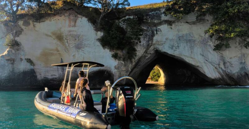 Cathedral Cove Marine Reserve- Specialised Snorkel Boat Trip - Wildlife Encounters
