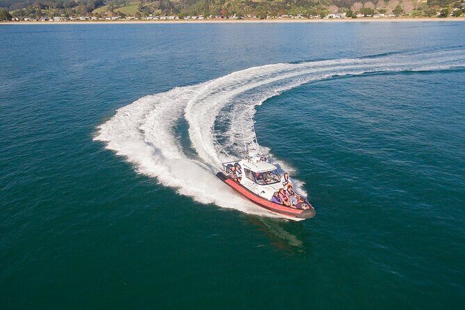 Cathedral Cove Scenic Cruises Whitianga - An Overview of the Experience