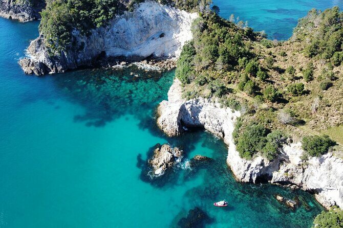 Cathedral Cove Scenic Cruises Whitianga - What Travelers Say