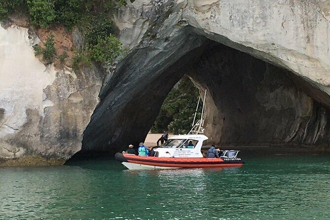 Cathedral Cove Scenic Cruises Whitianga - Why Choose This Tour?