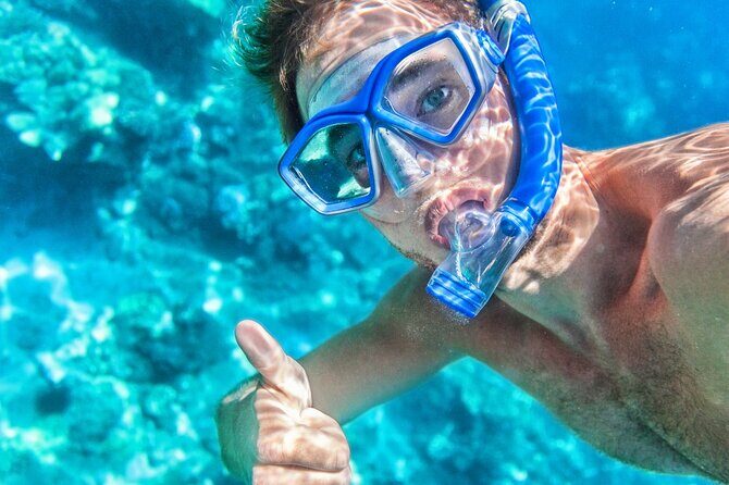 Catlina Island | Free Diving and Transportation - Key Points