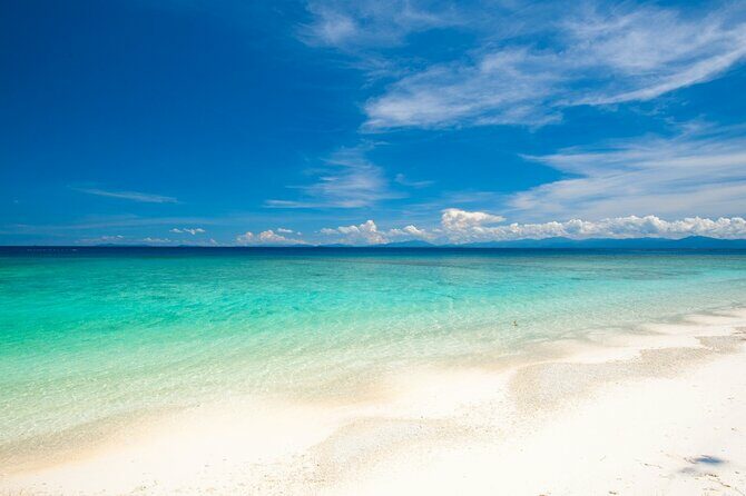 Catlina Island | Free Diving and Transportation - Value and Price Analysis