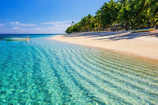 Catlina Island | Free Diving and Transportation - Who Should Consider This Tour?