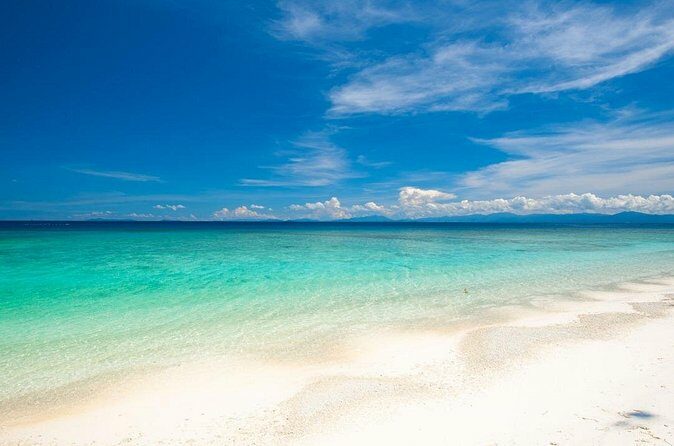 Catlina Island | Free Diving and Transportation - The Sum Up