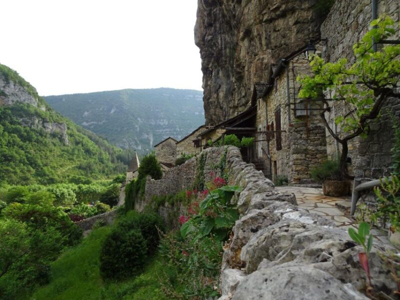 Causses and Tarn Valley: Full-Day Tour With 3 Visits - Pricing Details