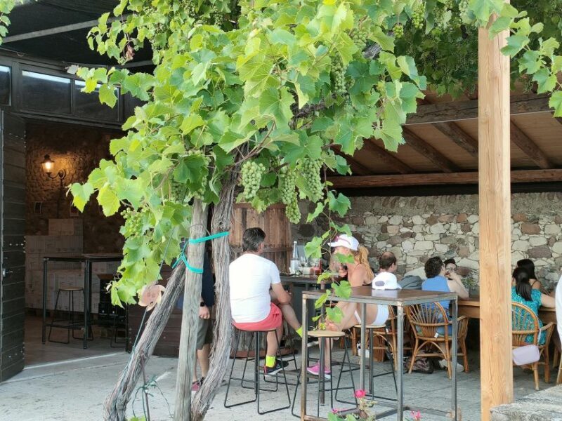 Cavaion: Lake Garda Wine & Food Tasting With Vineyard Tour - Experience Highlights