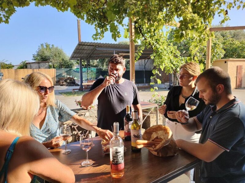 Cavaion: Lake Garda Wine & Food Tasting With Vineyard Tour - Emphasis on Sustainable Winemaking