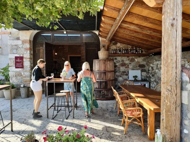 Cavaion: Lake Garda Wine & Food Tasting With Vineyard Tour - Personal Touch and Italian Hospitality