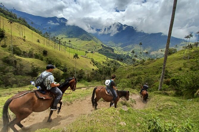 Cavalcade Valley of Cocora Condor Viewpoint - Tour Inclusions and Pricing