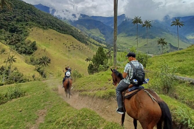 Cavalcade Valley of Cocora Condor Viewpoint - Suitability for Families