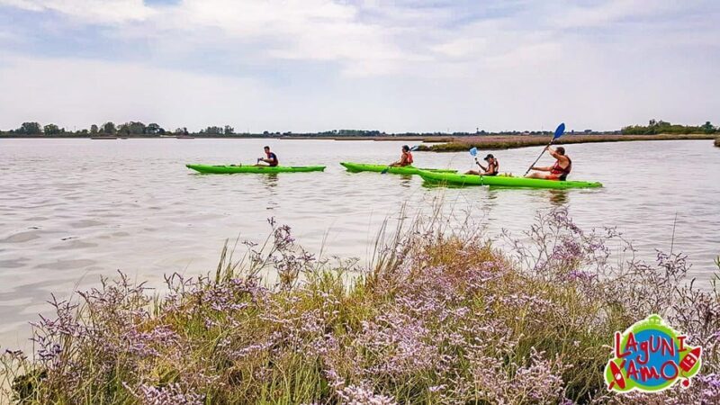 Cavallino-Treporti: Short Kayak Tour in the Venetian Lagoon - Experience the Venetian Lagoon