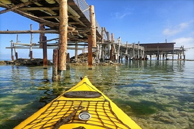 Cavalluccio Kayak Excursion in Fossacesia - Dedicated and Adaptive Instructor