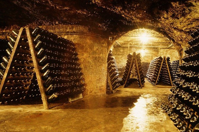 Cavas Freixenet Wine Tour From Mexico City - Key Points